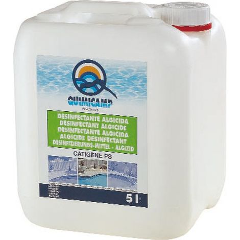 ALGICIDA ACCION FLOCULANTE - 5 L (1/4)