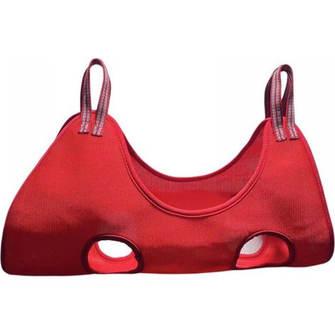 Hamac pour chien et chat, sac de contention pour le toilettage, outil de toilettage pour le bain et la coupe des griffes