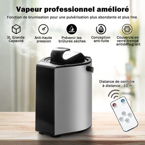 Mini sauna vapeur 3 L avec fonction d'atomisation, sauna à domicile 78 x 87 x 101 cm - noir (1/5)