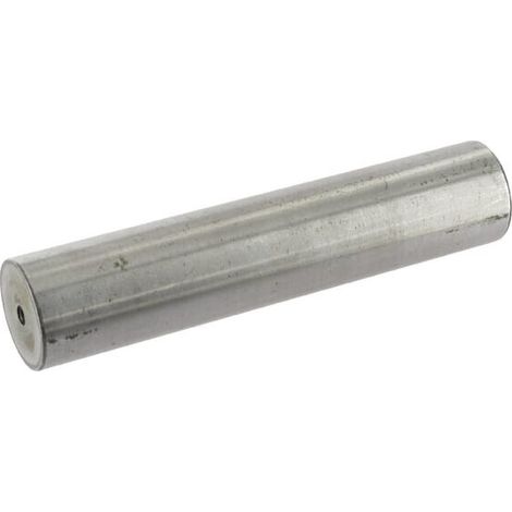 Perno rodamiento rodillos BPW BPW 0308650020