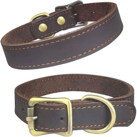 (s)Qianruida Collier pour Chien Cuir Véritable Colliers Réglables en Cuir - S (1/5)