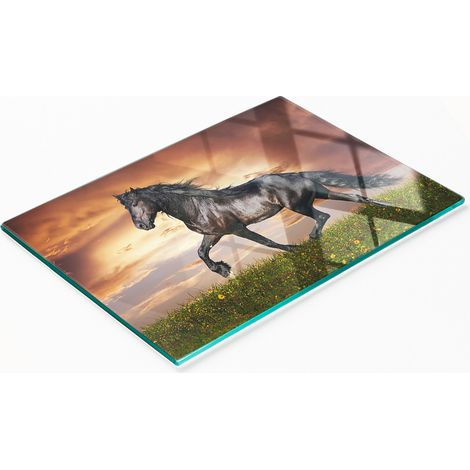 Robustes und stilvolles Küchenbrett aus gehärtetem Glas mit Pferdemotiv, 80 x 52 cm (1/5)