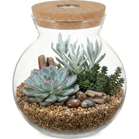 Bouteille en verre - Bouteille de paysage - Récipient transparent - Petit récipient de conservation - à champignons - Bocaux LED avec bouchon en liège - Vase de paysage pour (1/5)