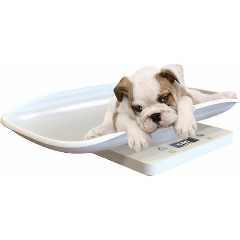 Balance électronique 15kg pour peser petits animaux, chats et chiens, pèse-bébé numérique précis, plateforme antidérapante, idéal usage vétérinaire et domestique. (1/5)