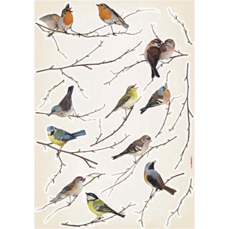 Komar Decosticker Vogel 50 x 70 cm Wandtattoos