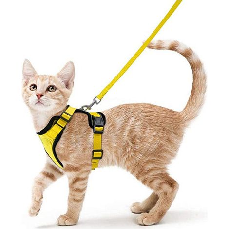 Ensemble harnais et laisse pour chat, gilet anti-fuite souple et réglable, gilet respirant avec bandes réfléchissantes, contrôle facile, jaune, taille S (1/5)