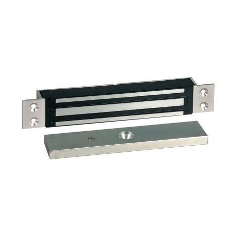 VENTOUSE ELECTROMAGNETIQUE A ENCASTRER 300 DAN 12-24V DC SEWOSY (1/2)