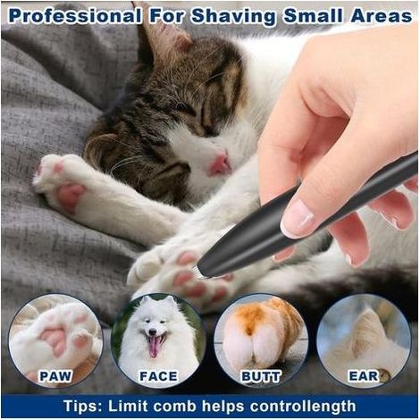 Tondeuse professionnelle pour chiens, chats et autres animaux, tondeuse électrique sans fil pour chiens (1/5)