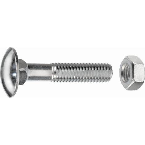 Vis à tête bombée M6 x 50 mm Acier Inox 1000 g (1/2)