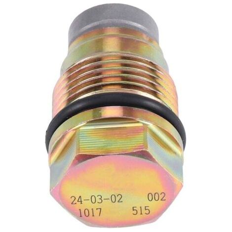 1110010015 1110010017 1110010018 1110010028 Soupape de Limitation Pression Rampe Carburant pour (1/4)
