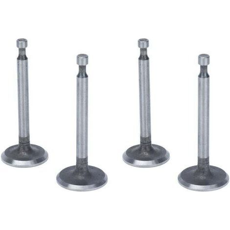 Kit de soupapes de moteur, 2 ensembles de soupapes d'admission antirouille en acier inoxydable pour moteurs à 2KW 2.5KW 3KW 168F GX160 (1/4)