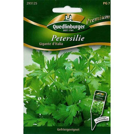 Quedlinburger Petersilie Gigante d'Italia - Kräutersamen (1/2)