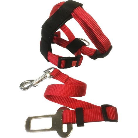 Harnais et ceinture de sécurité pour chat (1/5)