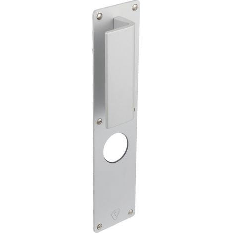 Poignée à tirage extérieure pour EXCLUSIVE A2P - ASSA ABLOY VACHETTE A2P Argent 300 70 (1/4)