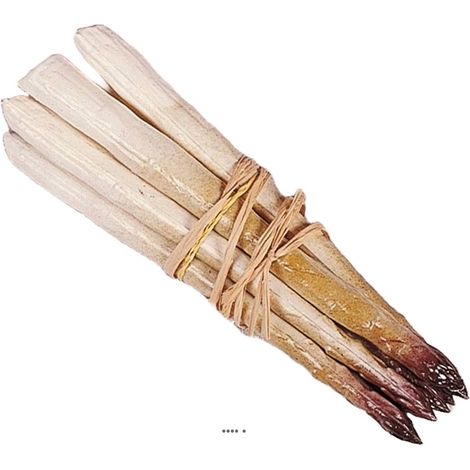 Botte d asperges artificielles rouges en Plastique soufflé L 200x20 mm (1/3)