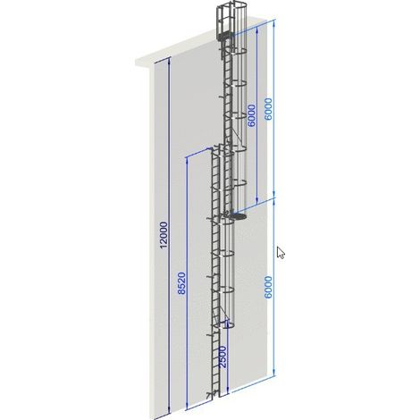 Echelle a crinoline hauteur 12 mètres Norme EN ISO 14 122-4 (1/5)