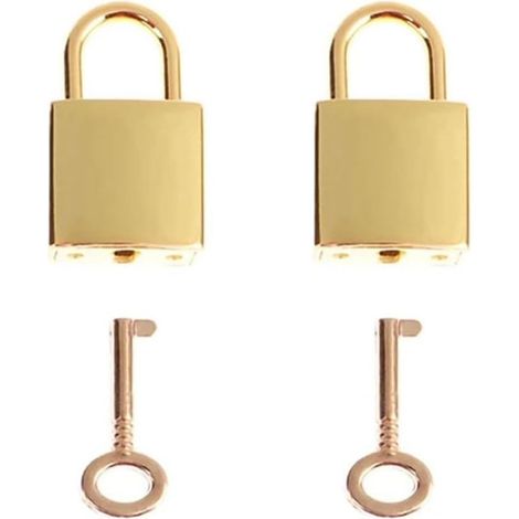 Ensemble de 2 mini cadenas et serrures à clé de style antique vintage pour boîtes à bijoux, boîtes de rangement ou agendas (Or) (1/5)