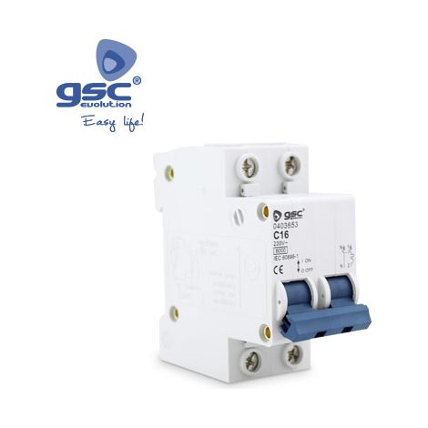1P + N 20A Leistungsschalter GSC 000403681