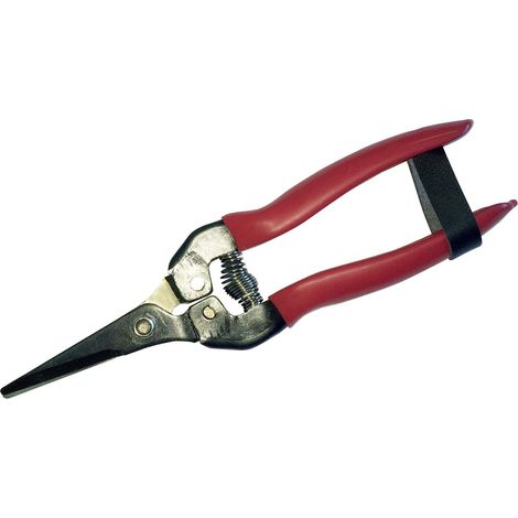 Riegolux 302172 - Forbici da pomodoro
