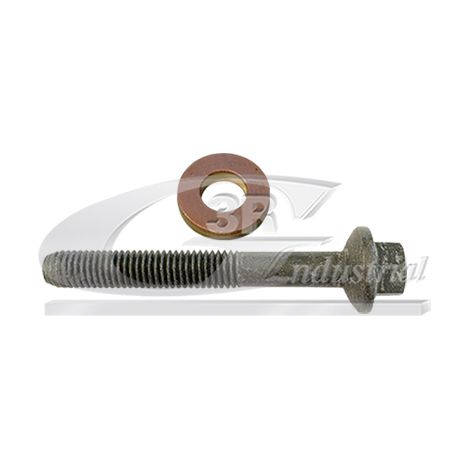 3RG 83632 KIT INYECTORES (2PCS)