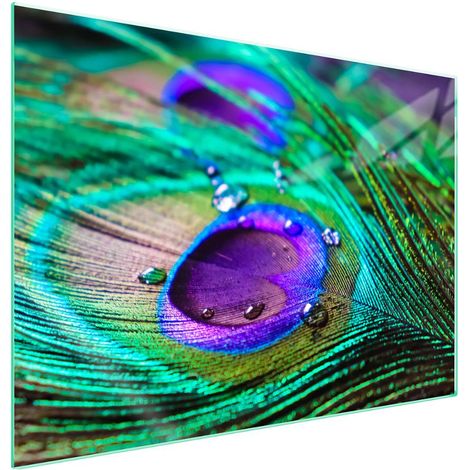 Plaque de protection en verre pour poêle 70x52 Plume (1/5)