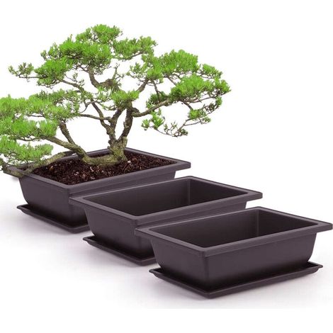 Pot Plante Rectangle - En Plastique Résistant - Pour Bonsaï Succulentes et Fleurs Intérieur Jardin - Lot de 6 (1/5)