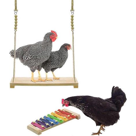 Lot de 2 jouets pour poules : xylophone suspendu à 8 touches métalliques avec support et perchoir pour volailles (coqs, poules, poussins, perroquets, aras). Divertissement garanti (1/4)