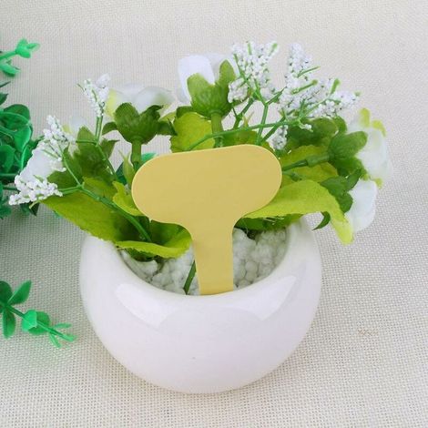 Rosilesi Lot de 100 étiquettes de jardin - Étiquettes en plastique en forme de T pour plantes, marqueurs, étiquettes de pépinière et ornements (1/5)