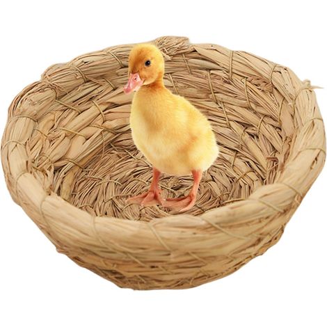 Nid de Reproduction d'oiseaux, nid de Reproduction pour Oiseaux - Cage de Trappe à Base Plate - Abri à Oiseaux pour Perruche canari Colibri, Accessoires de Cage à Oiseaux, cabane à Oiseaux (1/5)