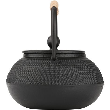 Théière japonaise en fonte de 800 ml avec infuseur amovible (1/5)