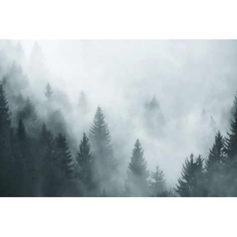 Cache-radiateur magnétique, tapis décoratif, Forêt, 60x100 (1/3)