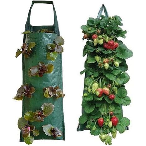 2 Pack Vertical Hanging Planting Bags with 8 Holes for Garden Strawberries, Herbs and Flowers (Green) (1/5)