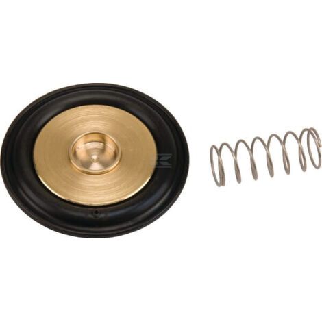 Kit de membrane DURAVIS ESPSV004