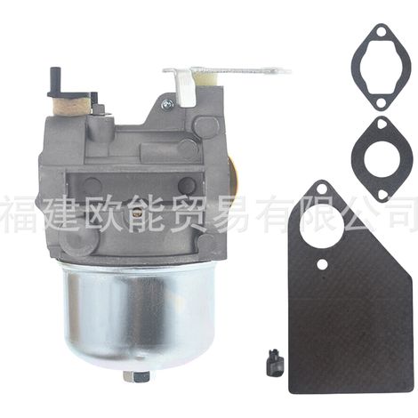 The Briggs & Stratton carburetors 690111, 690115 and 690117 are suitable for lawnmowers 5-4993.--DTEKGAZ
