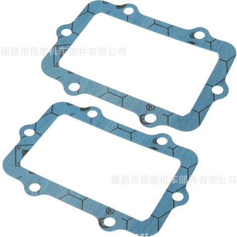 2 Stück Dichtung G3122 für V3127R-873A-2 V3112-873A-2 VForce Membranventil (1/5)