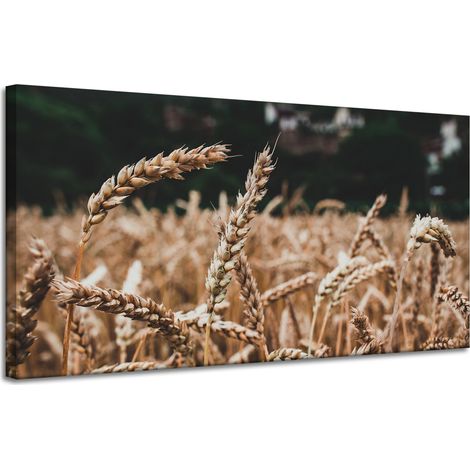 Leinwanddruck „Weizenfeld“ (120 x 60 cm) – Erntezeit