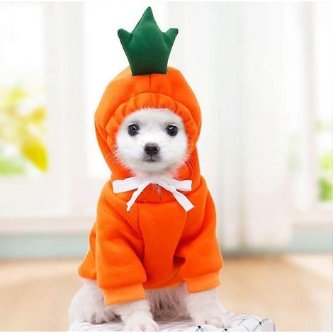 Sweat à capuche pour chien, vêtements pour animaux de compagnie, tenue chaude d'hiver pour chat, pull-over, vêtements pour chiots, vêtements pour temps froid pour chien (1/5)