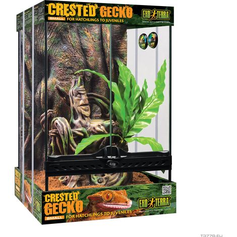 Kit inicio terrario para Gecko Crestado Exo Terra, S, 30x30x45cm (1/2)