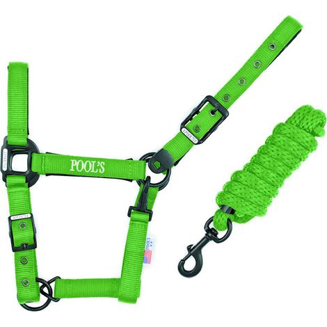 POOL'S Cavezza nylon LIME con lunghina MISURA FULL