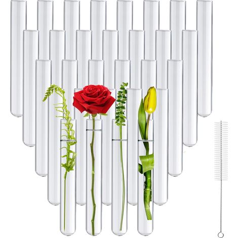 30 Pcs Tubes à Essais en Verre Borosilicaté avec Brosse, 20x150mm (1/5)