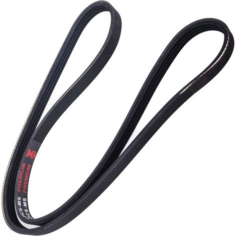 CINGHIA POLARE PK 4PK1054 (1/2)