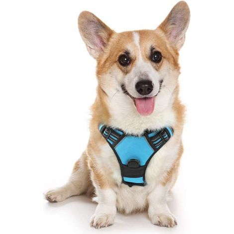 Arnés para perros talla M, azul claro, reflectante, ajustable, con función antitirones, gancho para correa en la parte delantera, ideal para excursiones, viajes en coche, Bulldog Francés, Pastor Austr (1/5)