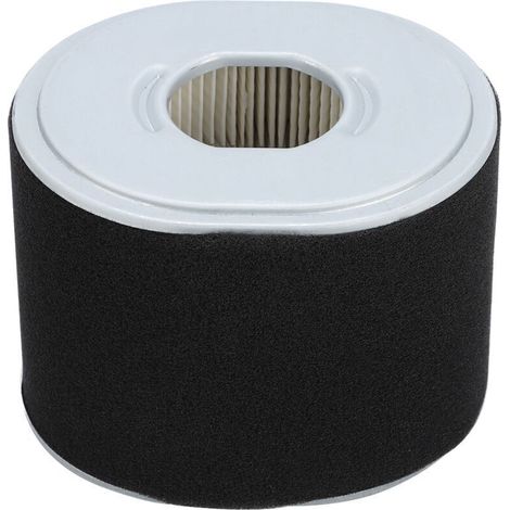 Filtre à Air Gx390 Filtre à Air Afze18 Filtre à Air Af Ze28 Moteur Gx390 Pièces de Nettoyeur Haute Pression Gx390 294, Accessoire de Remplacement de Filtre à Air pour Tondeuse à Gazon pour Mot