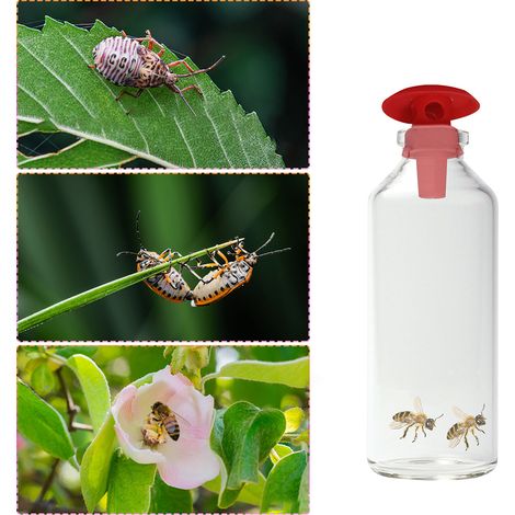 Pièges à guêpes, piège à abeilles suspendu d'extérieur, piège à insectes volants réutilisable pour une utilisation en extérieur (1/5)