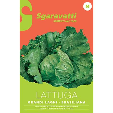 Semi per Ortaggi e Vegetali Lattuga Grandi Laghi Brasiliana 20 Pezzi (1/2)
