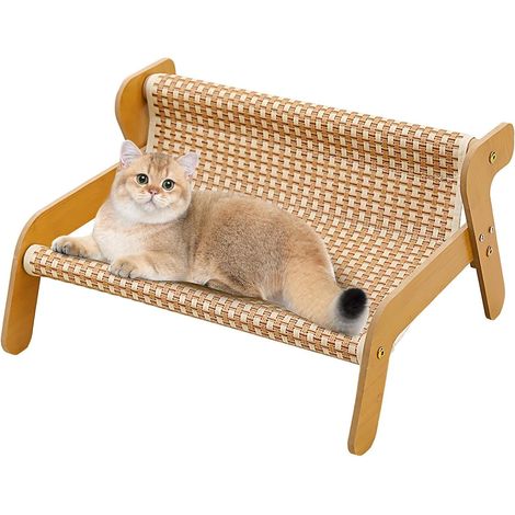 Grifoir pour Chat Salon de Grattage pour Chaton Protecteur (1/5)