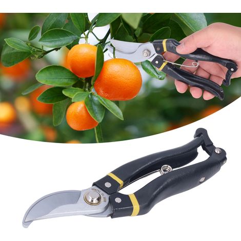 Gartenscheren für Obstbäume, die die Pflege erleichtern, Gartenscheren für Obstbaumzweige, Garten- und Baumschulscheren (1/5)