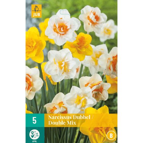 Mix 5 Narcisses Doubles blancs et jaunes