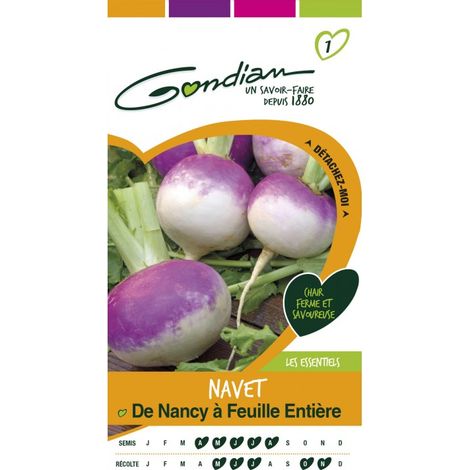 Gondian - Navet De Nancy a Feuille Entière (1/3)