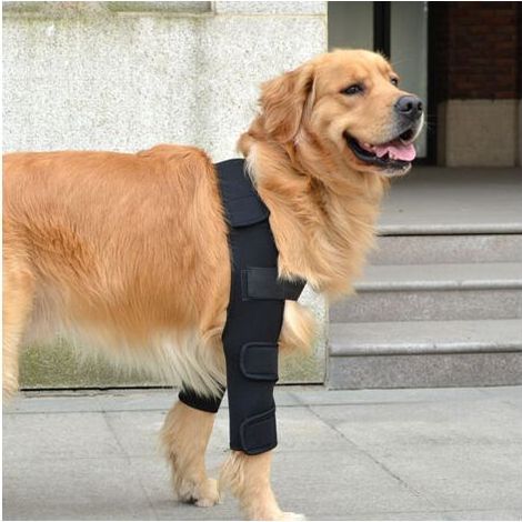 Coussin de soutien de coude respirant pour chien pour le soutien du coude et de l'épaule du chien Eczéma du coude, dysplasie, arthrose, callosités du coude, compression (L) (1/5)